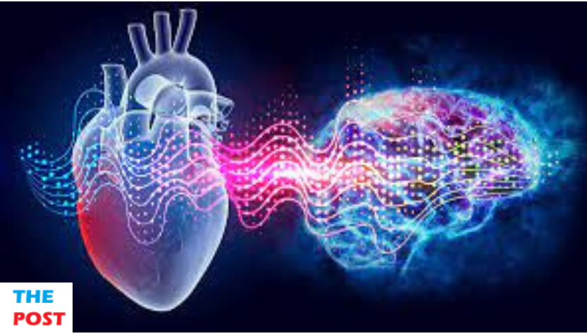 The Mind-Heart Nexus: Investigating the Complex Interplay Between Mental and Cardiovascular Well-being